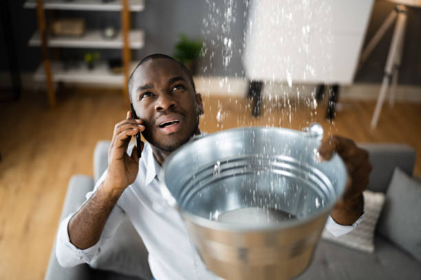 Best Flood damage cleanup  in Tucson, AZ