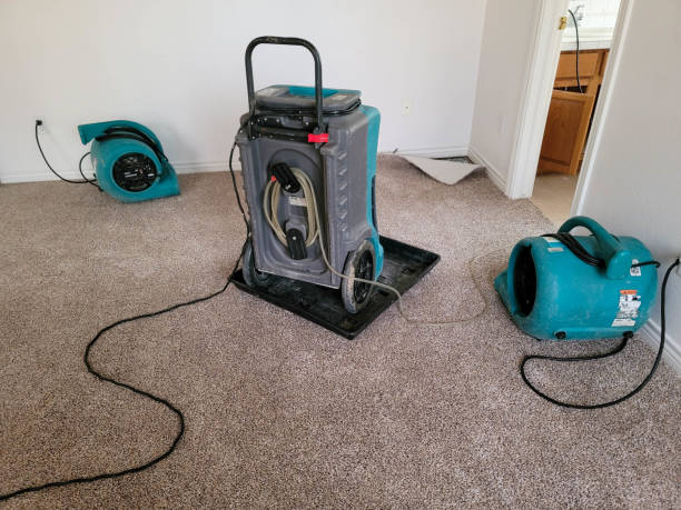 Best Flooded house restoration  in Tucson, AZ