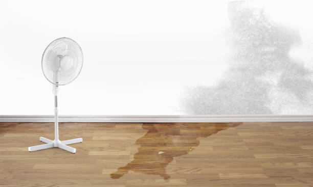 Fire Damage Restoration in AZ