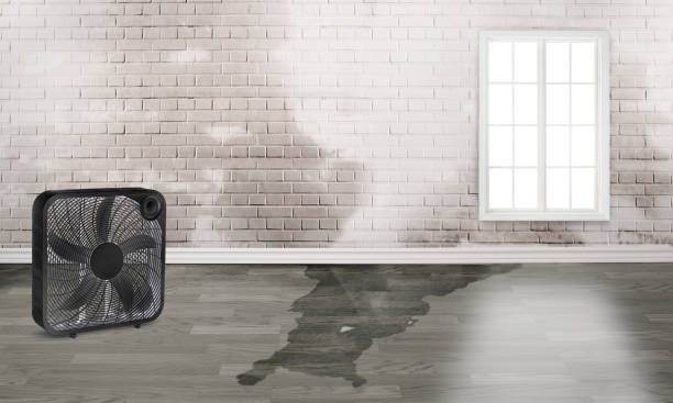 Professional Water damage restoration in AZ