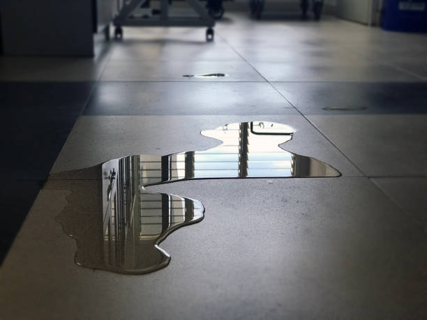 Best Professional water damage repair  in Tucson, AZ