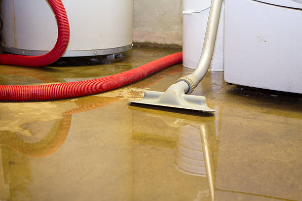 Best Basement water damage restoration  in Tucson, AZ