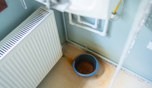 Best Local water damage restoration  in Tucson, AZ