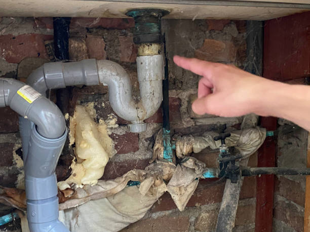 Best Water damage restoration mold remediation  in Tucson, AZ