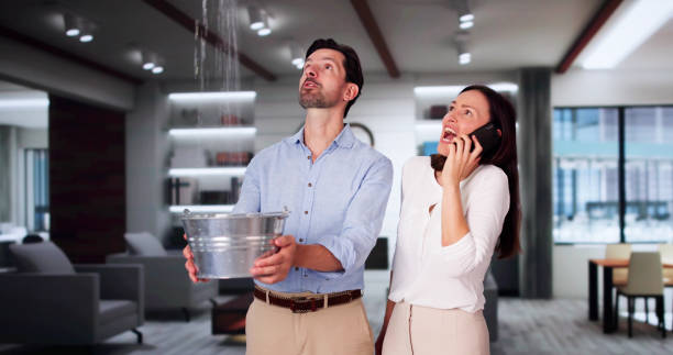 Best Mold removal after water damage  in Tucson, AZ