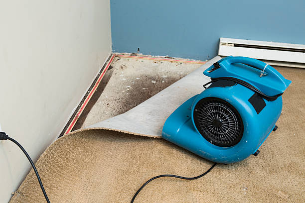 Best Ceiling water damage repair  in Tucson, AZ